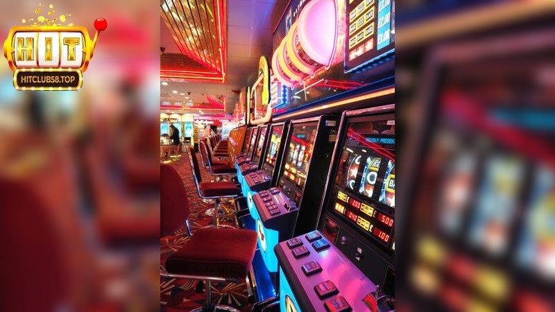 Trải nghiệm đa dạng với vũ điệu hoang dã