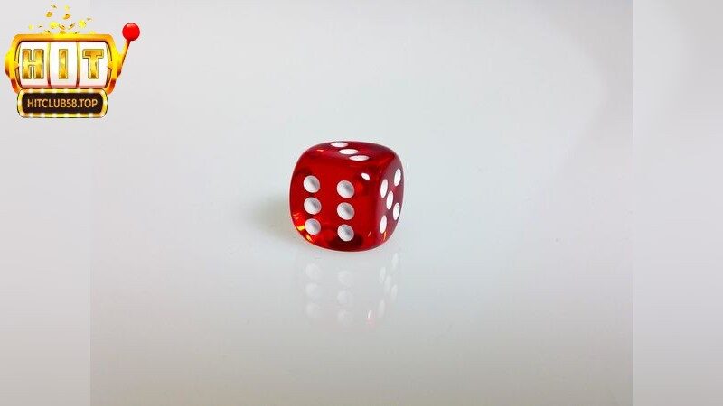 Xóc dĩa livestream – Đắm Chìm Trong Thế Giới Cá Cược Sống Động